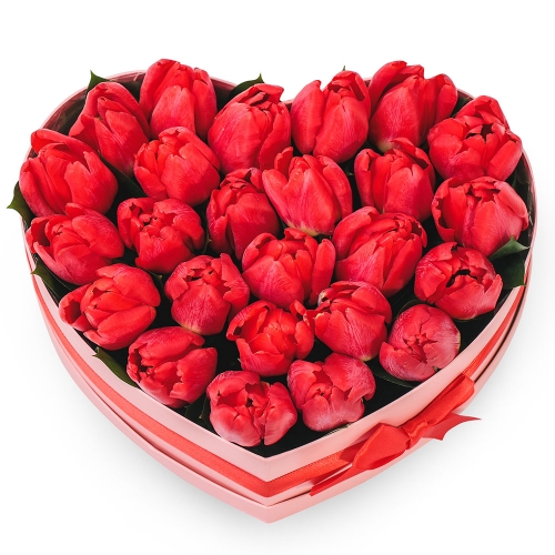 Red tulips in a heart